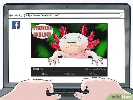 Imagen titulada Help Prevent Axolotl Extinction Step 1