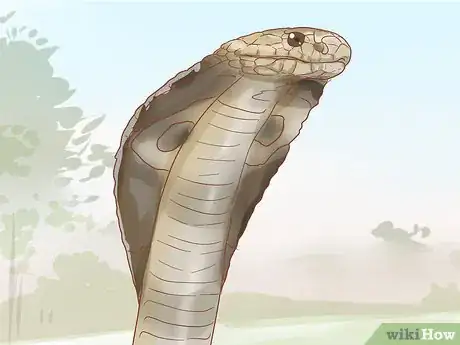 Imagen titulada Differentiate Between Poisonous Snakes and Non Poisonous Snakes Step 5