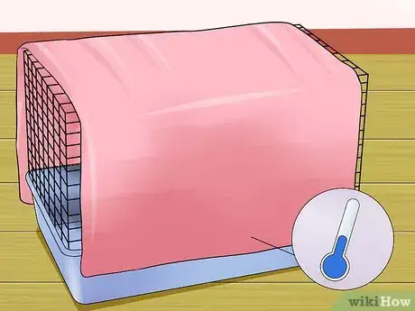 Imagen titulada Keep a Hamster Cool in Hot Weather Step 13