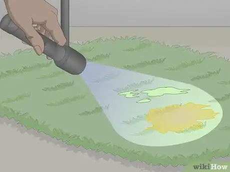 Imagen titulada Find Cat Urine With a UV Light Step 4