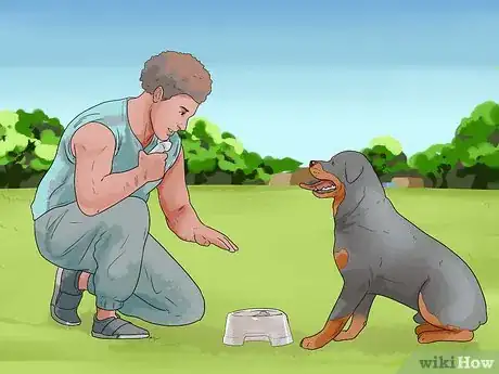 Imagen titulada Stop Aggressive Behavior in Dogs Step 11