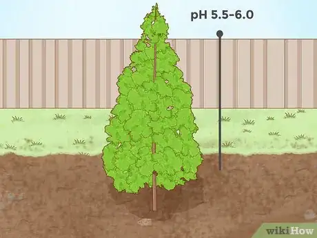 Imagen titulada Lower Soil pH Step 14