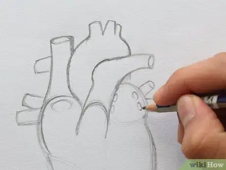 Imagen titulada Draw the Internal Structure of the Heart Step 10