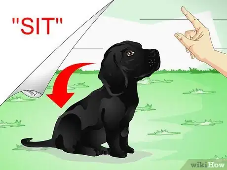 Imagen titulada Train Labrador Retrievers Step 14