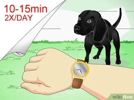 Imagen titulada Train Labrador Retrievers Step 11