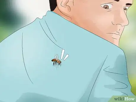 Imagen titulada Escape from Killer Bees Step 11