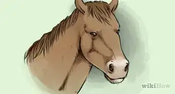 dibujar un caballo