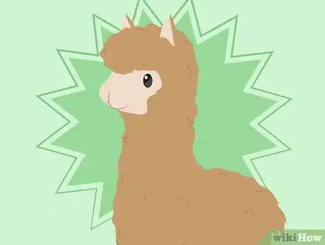 Imagen titulada Buy Alpacas Step 1