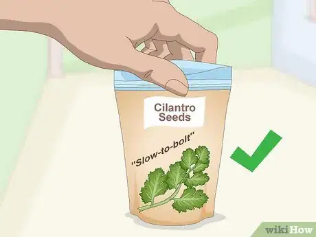 Imagen titulada Grow Cilantro Indoors Step 1