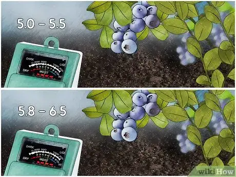 Imagen titulada Adjust Soil pH Step 3