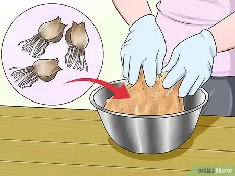 Imagen titulada Remove a Wart Using Epsom Salts or Daffodils Step 6