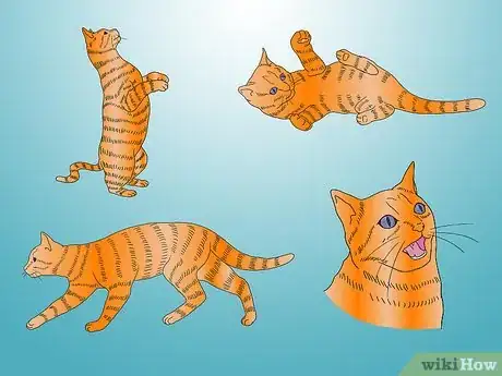 Imagen titulada Make Catnip Spray Step 11