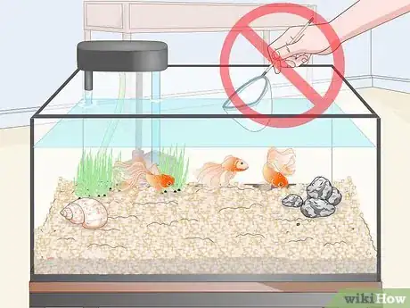 Imagen titulada Clean Fish Tank Rocks Step 6