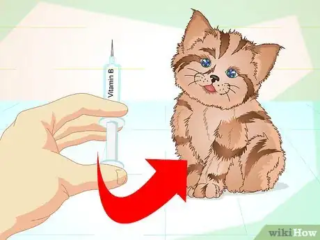 Imagen titulada Get a Sick Kitten to Eat Step 22