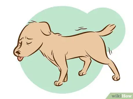 Imagen titulada Recognize a Dying Dog Step 6