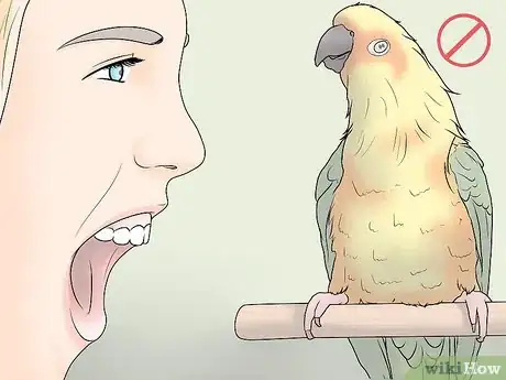 Imagen titulada Gain Your Bird's Trust Step 10