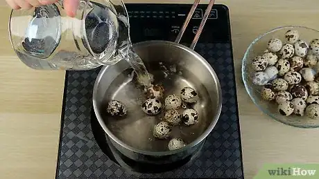 Imagen titulada Eat Quail Eggs Step 1