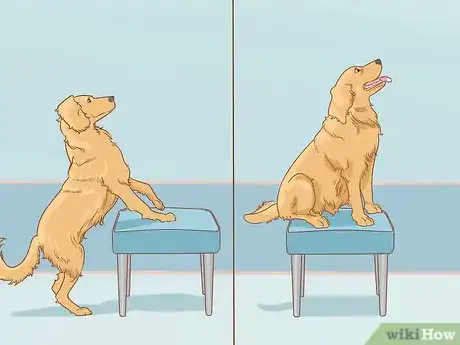 Imagen titulada Teach Your Dog to Jump Step 7