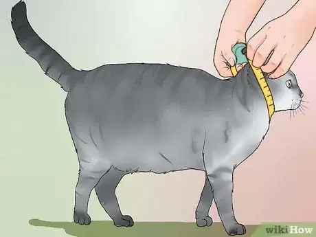 Imagen titulada Make a Harness for Your Fat Cat Step 11