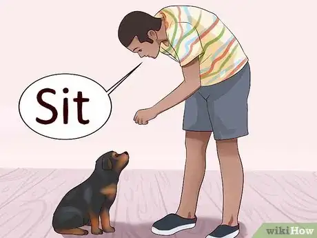 Imagen titulada Train Your Rottweiler Puppy With Simple Commands Step 10