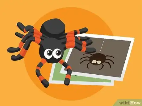 Imagen titulada Overcome the Fear of Spiders Step 04