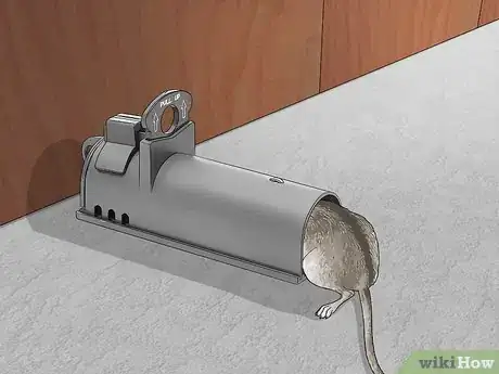 Imagen titulada Get Rid of Mice Fast Step 3