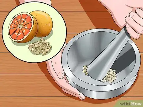 Imagen titulada Treat Dog Worms With Food and Herbs Step 8