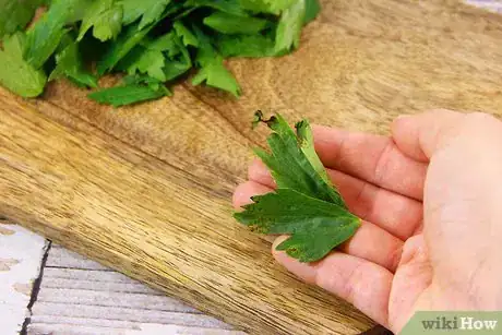 Imagen titulada Dry Herbs in the Oven Step 7