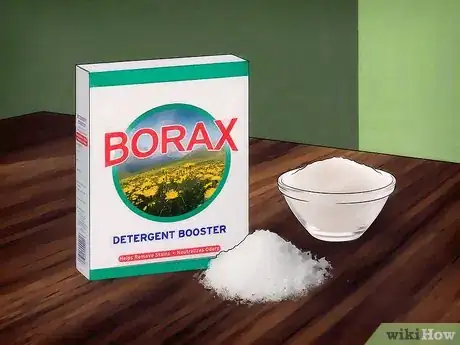 Imagen titulada Kill Ants Using Borax Step 9