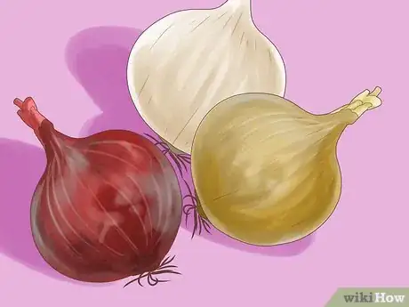 Imagen titulada Grow Onions Step 1