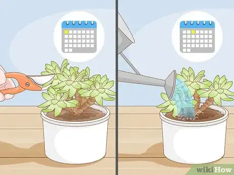 Imagen titulada Prune Succulents Step 3