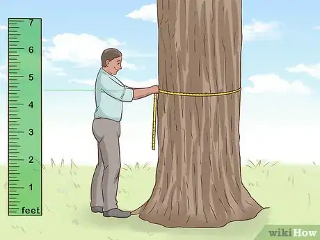 Imagen titulada Determine the Age of a Tree Step 1