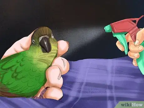 Imagen titulada Care for a Conure Step 26