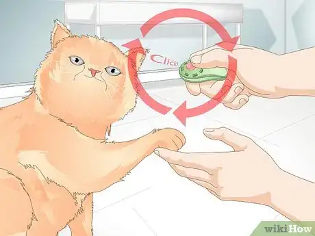 Imagen titulada Teach Your Cat to Give a Handshake Step 11