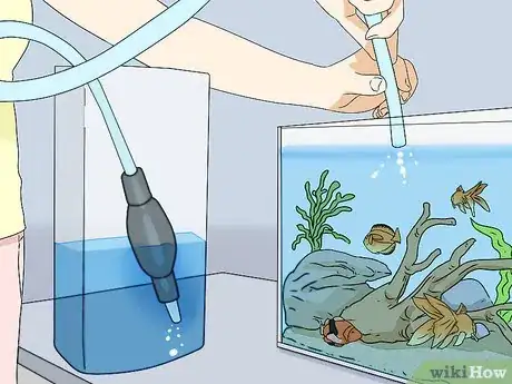 Imagen titulada Lower Ammonia Levels in Your Fish Tank Step 2