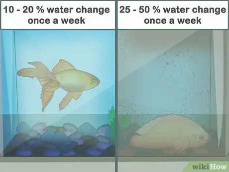 Imagen titulada Clean a Fish Tank Step 3