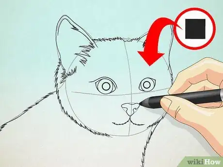 Imagen titulada Draw a Cat Face Step 7