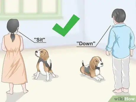 Imagen titulada Train Your Beagle Step 17