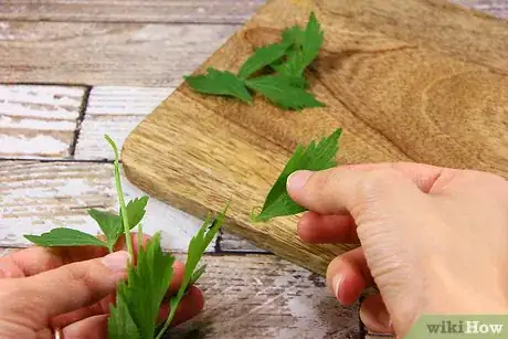 Imagen titulada Dry Herbs in the Oven Step 4