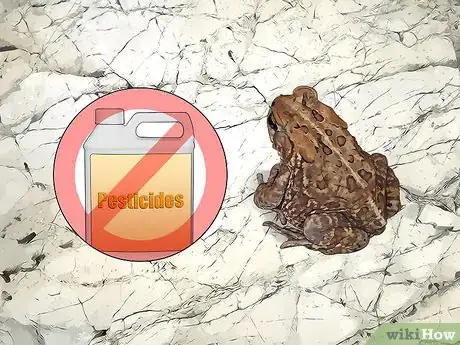 Imagen titulada Get Rid of Toads in Your Yard Step 13