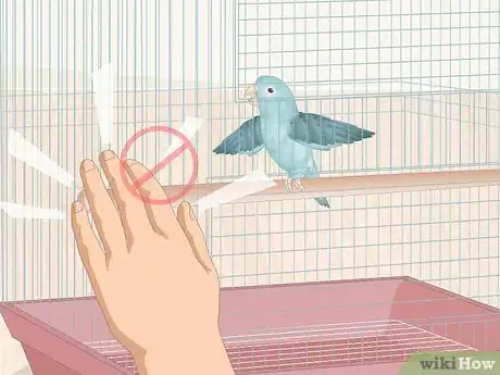 Imagen titulada Care for a Sick Pet Bird at Home Step 9