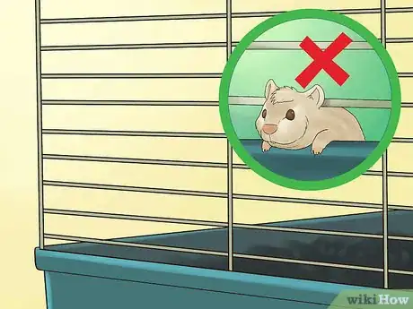 Imagen titulada Prevent a Hamster from Escaping from Its Cage Step 4