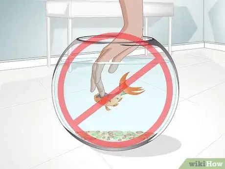 Imagen titulada Play With a Goldfish Step 15