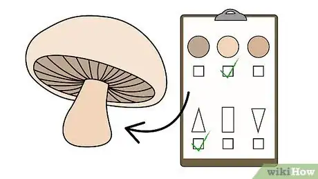 Imagen titulada Pick Mushrooms Step 9