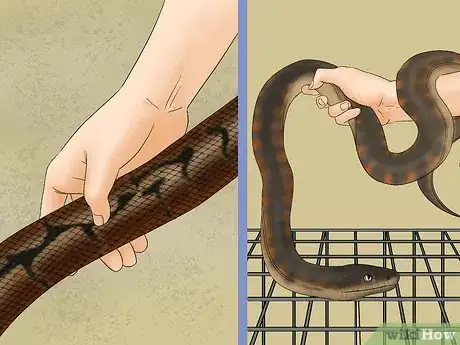 Imagen titulada Remove Duct Tape from a Snake Step 2