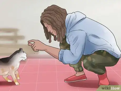 Imagen titulada Stop a Cat from Biting and Scratching Step 15