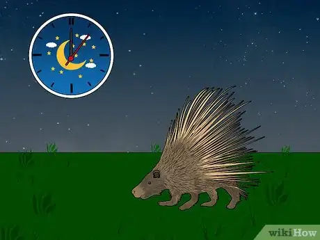 Imagen titulada Remove Porcupine Quills Step 29