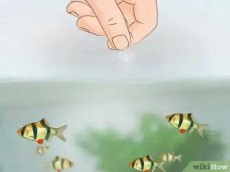 Imagen titulada Cycle a Fish Tank Step 18