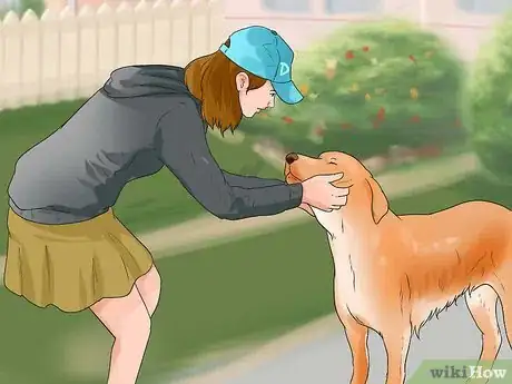 Imagen titulada Teach Your Dog to Play Shy Step 16