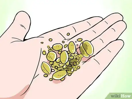 Imagen titulada Find Gold Nuggets Step 1